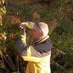 �������� - ����� ������, Rosen Elezov