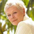 ����� ����, Judi Dench