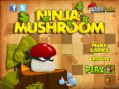 ���� ������