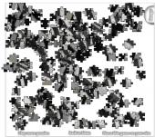 ����� - ��������� �����