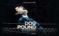 ������� Dog Pound - ������