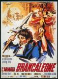   , Brancaleone's Army - , ,  - Cinefish.bg