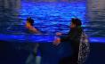 Ocean Paradise Галерия Океански рай - Кадри от филма