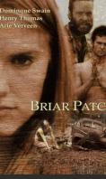  a, Briar Patch
