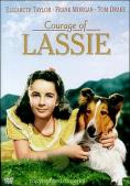 Courage of Lassie - �����, ��������, ������ - Cinefish.bg