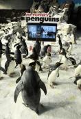    ,Mr. Popper's Penguins