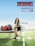  , Necessary Roughness