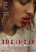 Dogtooth, Dogtooth