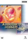 ��������� �������, Animals: The Inside Story