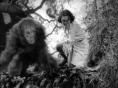  Tarzan the Ape Man -   