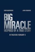 ���� ���� ��������, Big Miracle