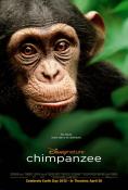 ��������, Chimpanzee - �����, ��������, ������ - Cinefish.bg