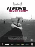 �� ������: ������ �� ���������, Ai Weiwei: Never Sorry