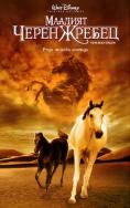 ������� ����� ������, The Young Black Stallion