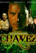 Chavez Cage of Glory, Chavez Cage of Glory