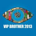 ��� ������ �������� 2014, VIP Brother Bulgaria 2014
