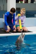  Dolphin Tale 2 -   