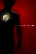 ������������ (2014), The Flash