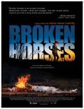 Broken Horses, Broken Horses