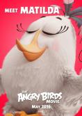 ������� Angry Birds: ������ - �������