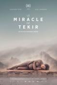   , The Miracle of Tekir - , ,  - Cinefish.bg