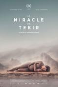 ������ �� �����, The Miracle of Tekir - �����, ��������, ������ - Cinefish.bg