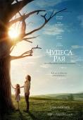 ������ �� ���, Miracles from Heaven - �����, ��������, ������ - Cinefish.bg
