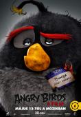������� Angry Birds: ������ - �������