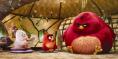 ������� Angry Birds: ������ - ����� �� �����