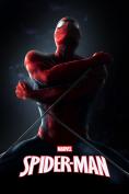 -:   ,Spider-Man: Homecoming