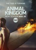 Animal Kingdom - , ,  - Cinefish.bg