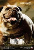 ������� Inhumans: �������� IMAX - �������