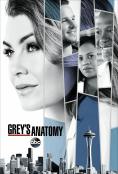   , Grey's Anatomy - , ,  - Cinefish.bg