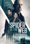   , Spider in the Web - , ,  - Cinefish.bg