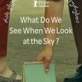 ,   ?, What Do We See When We Look at the Sky?