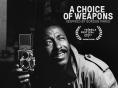 ����� �� ������: ��������� �� ������ �����, A Choice of Weapons: Inspired by Gordon Parks