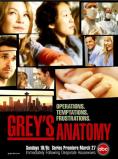   ,  1, Grey's Anatomy (3 )