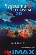    3D, Ocean Wonderland 3D - , ,  - Cinefish.bg