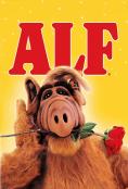 ���, ALF