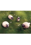 05-���� - Shaun the Sheep, Shaun the Sheep