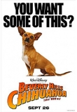 �� ������� - ������� ���� ��������, Beverly Hills Chihuahua