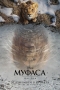  -  ,Mufasa: The Lion King -  -  
