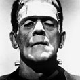  The Casebook of Victor Frankenstein      