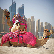 �����������Ŕ ��������� ������ �� ������