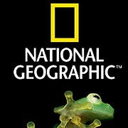 �������� ���� ���� �� FOX LIFE, FOX CRIME, NGC � 24kitchen