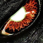 ����� �� �������� �� ����������� ��� ���� �� �������?