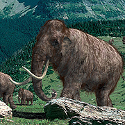 ��������: ��������� �� �������� �� National Geographic Channel