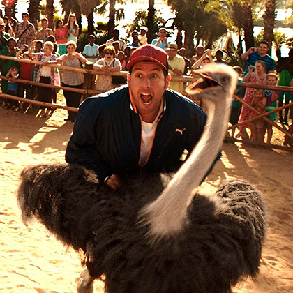 ���� ����������� �������� � �������� �� 30-�� ���, 2014-�� ������