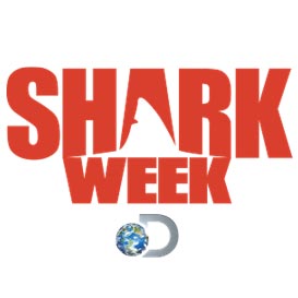 ������� - ������ ����� �� ������