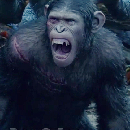 �������� ����������� �������� �� ��������� ���� �� ��������� ��������� �� ���������